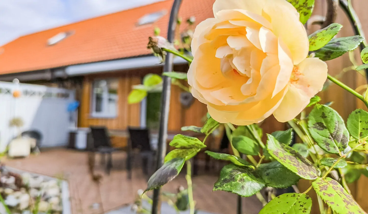 Schön angelegtes Grundstück Ansicht I