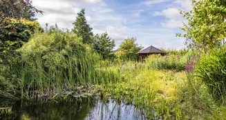 von_poll_real_estate_property_25389010_image_2