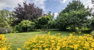 von_poll_real_estate_property_25389010_image_6