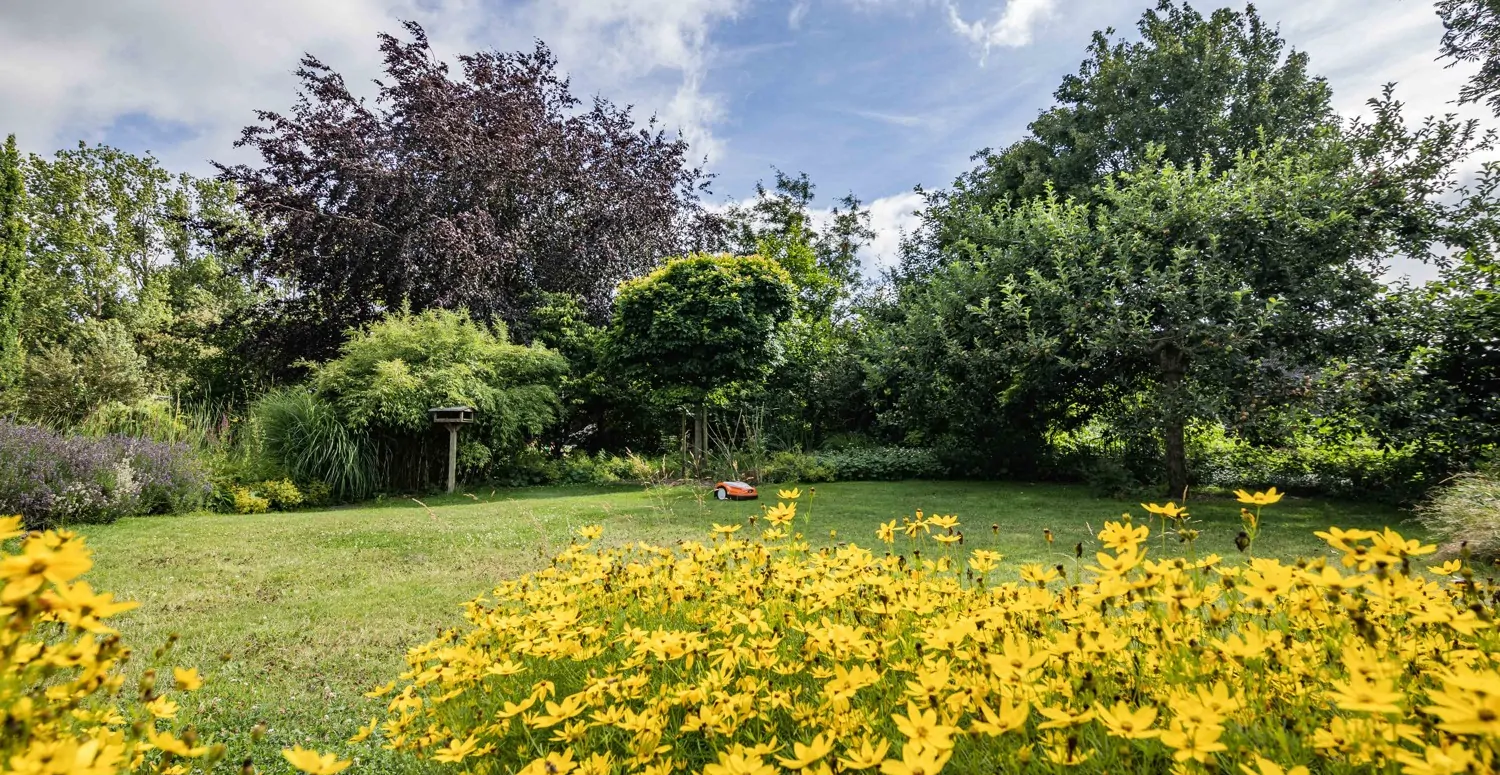 Grundstück Ansicht II