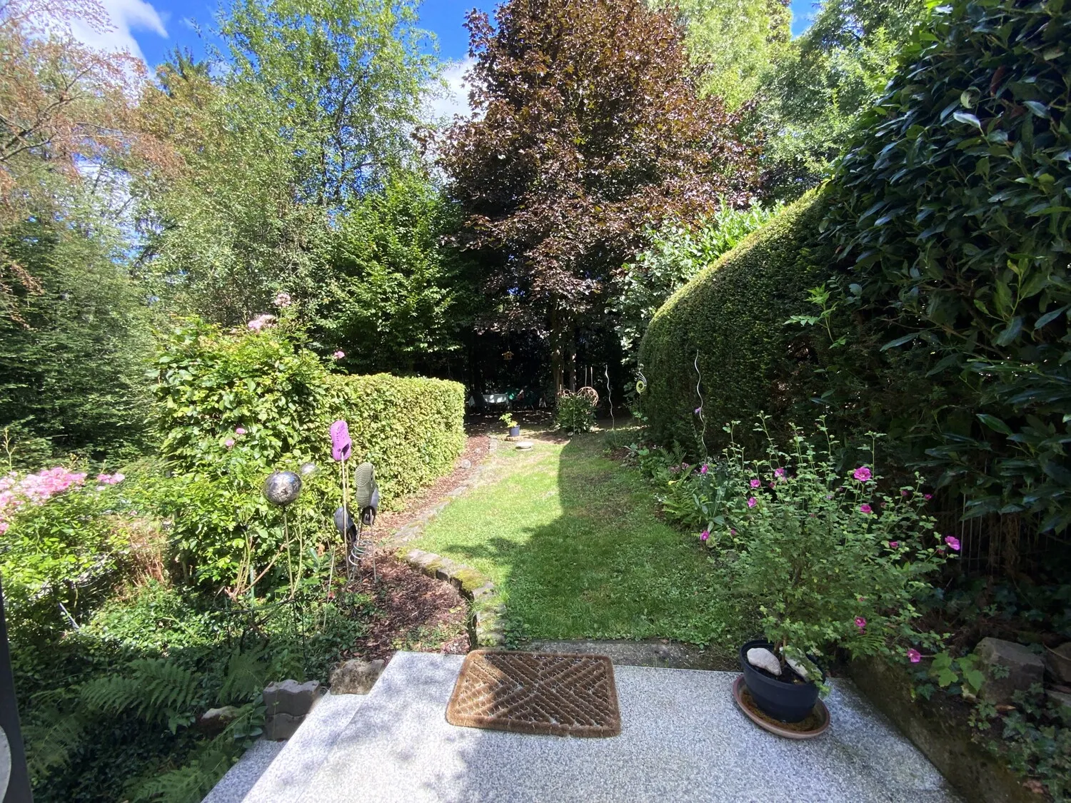 Blick in den Garten
