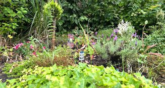 von_poll_real_estate_property_25320015_image_11