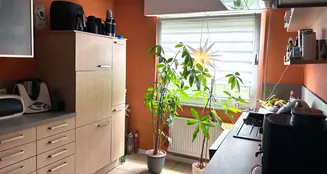 von_poll_real_estate_property_25218009_image_17