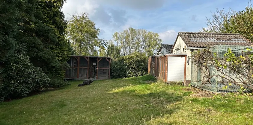 von Poll Immobilien GmbH