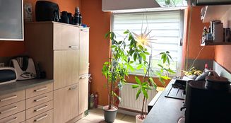 von_poll_real_estate_property_25218012_image_17
