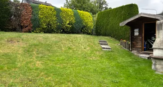 von_poll_real_estate_property_25218012_image_8