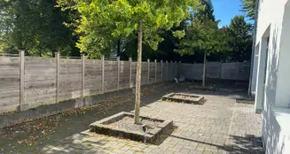 von_poll_real_estate_property_25218016_image_5