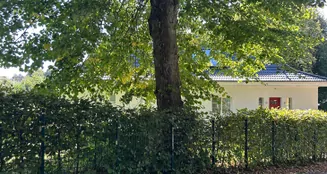 von_poll_real_estate_property_25218016_image_9