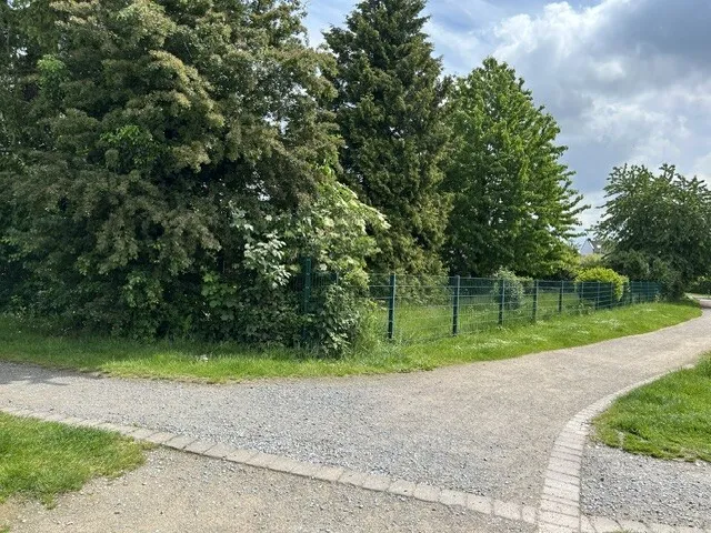 Fläche Umgebung