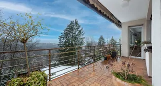 von_poll_real_estate_property_25250040_image_14