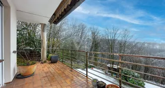 von_poll_real_estate_property_25250040_image_13