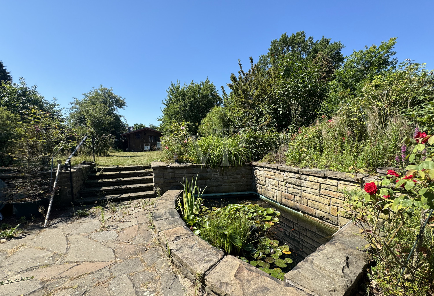 Teich im Garten