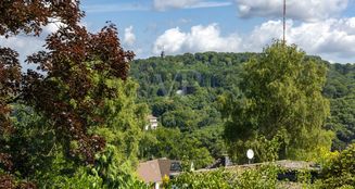 von_poll_real_estate_property_25250026_image_9