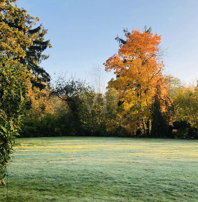 Garten im Herbst