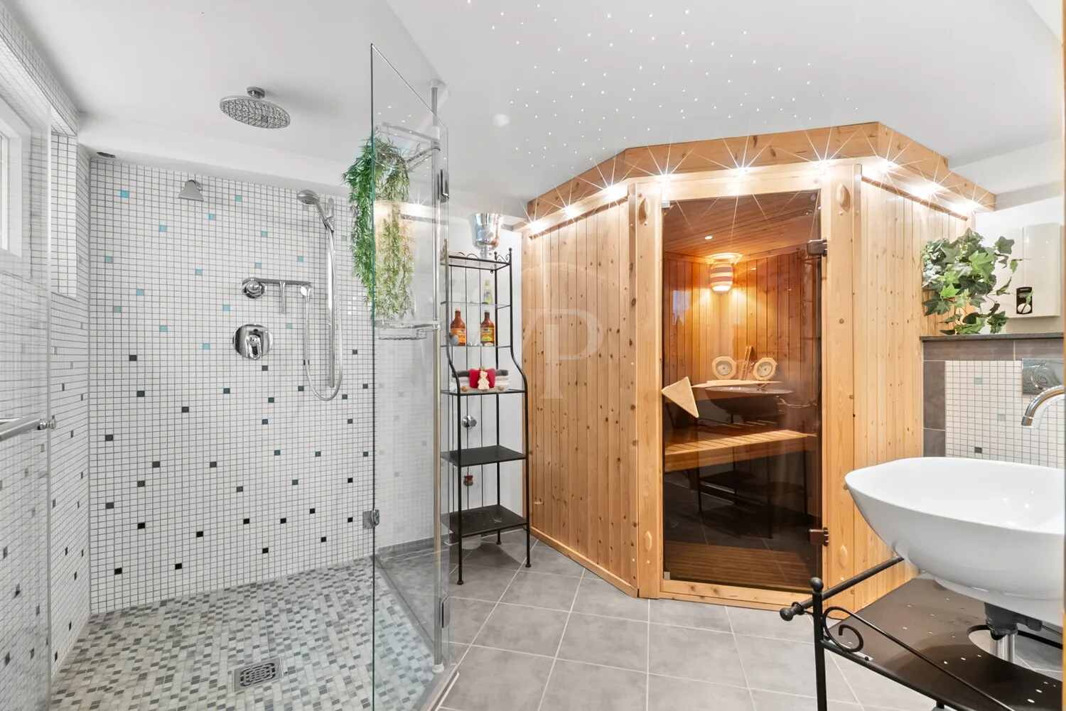 Sauna mit Dusche
