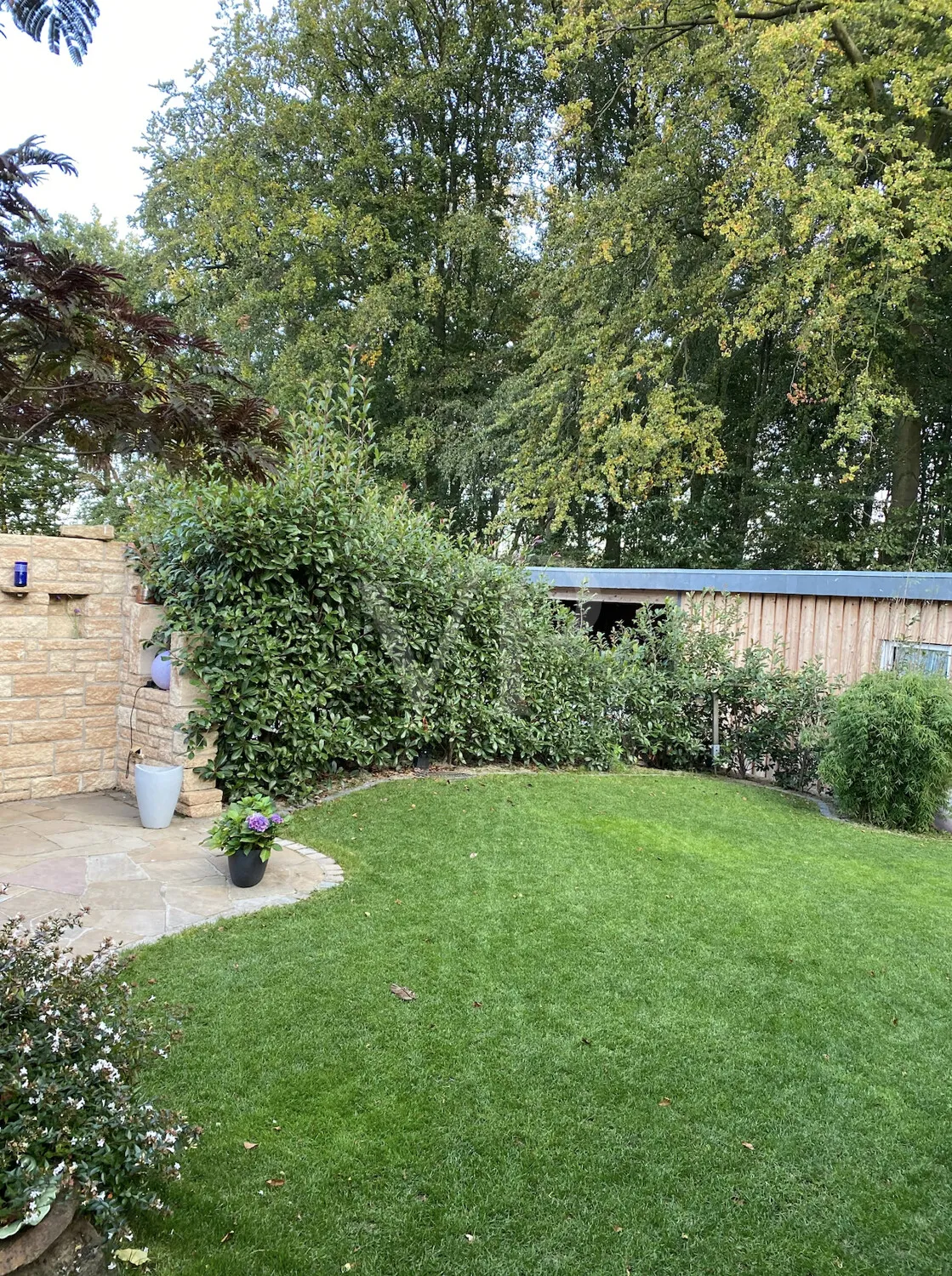 Eindrücke aus dem Sommer