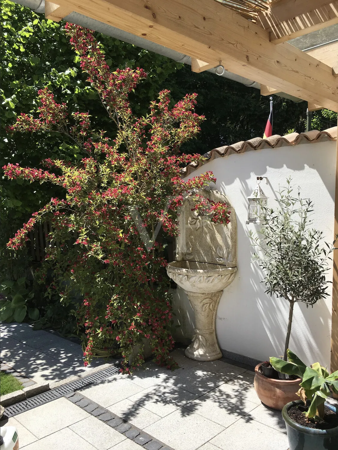 Eindrücke aus dem Sommer