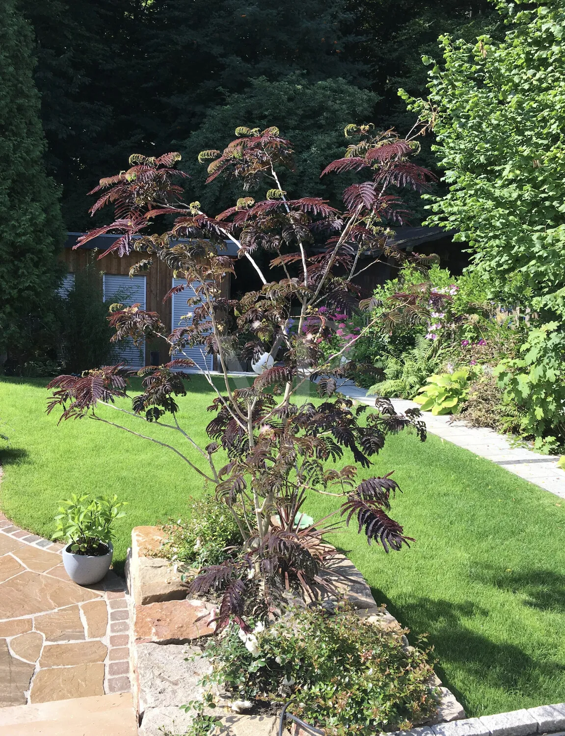 Eindrücke aus dem Sommer