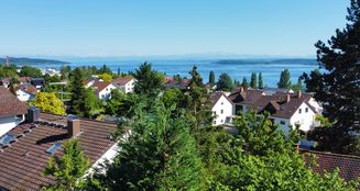 von_poll_real_estate_property_25328123_image_5