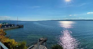 von_poll_real_estate_property_25328102_image_6