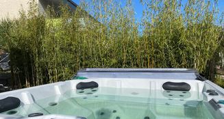 von_poll_real_estate_property_25328122_image_18