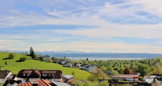 von_poll_real_estate_property_25328122_image_2