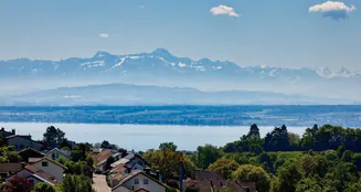 von_poll_real_estate_property_25328130(6)_image_3