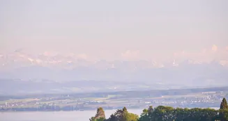 von_poll_real_estate_property_25328130(4)_image_5