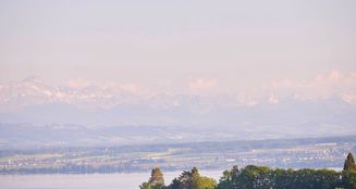 von_poll_real_estate_property_25328130(4)_image_8