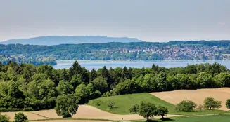 von_poll_real_estate_property_25328130(1)_image_10