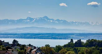 von_poll_real_estate_property_25328130(1)_image_0