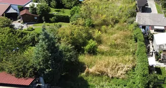 von_poll_real_estate_property_25328128_image_4