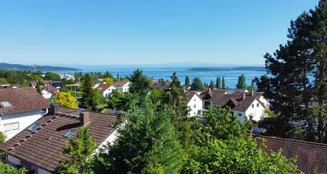 von_poll_real_estate_property_25328132_image_5