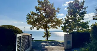 von_poll_real_estate_property_25328134_image_1