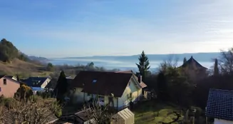 von_poll_real_estate_property_26328105_image_1