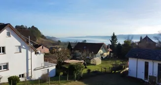 von_poll_real_estate_property_26328105_image_4