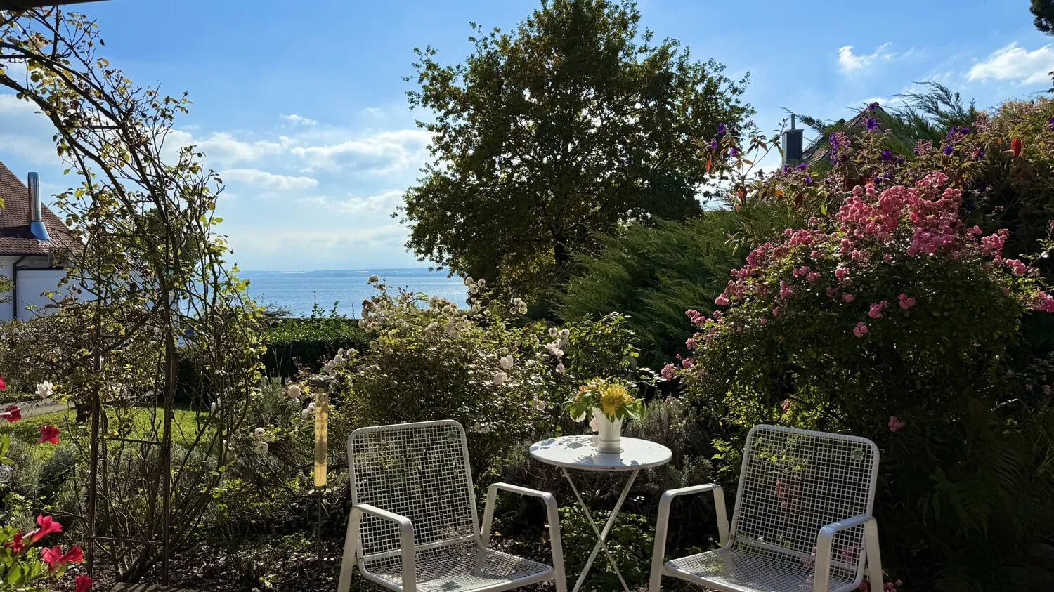Terrasse (EG)
