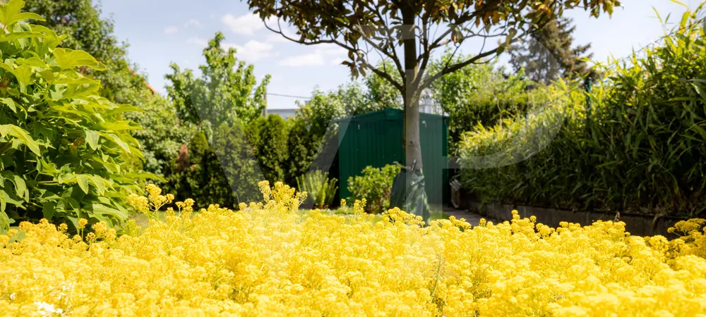 KLEINGARTEN - KGV Hackenberg - EIGENTUM! 1190 Wien