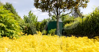 von_poll_real_estate_property_202234400054_image_8