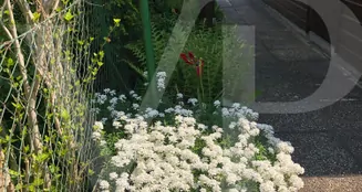 von_poll_real_estate_property_202234400054_image_4