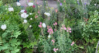 von_poll_real_estate_property_202234400054_image_5