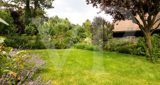 von_poll_real_estate_property_202234400086_image_5
