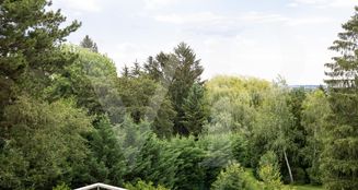 von_poll_real_estate_property_202234400086_image_1