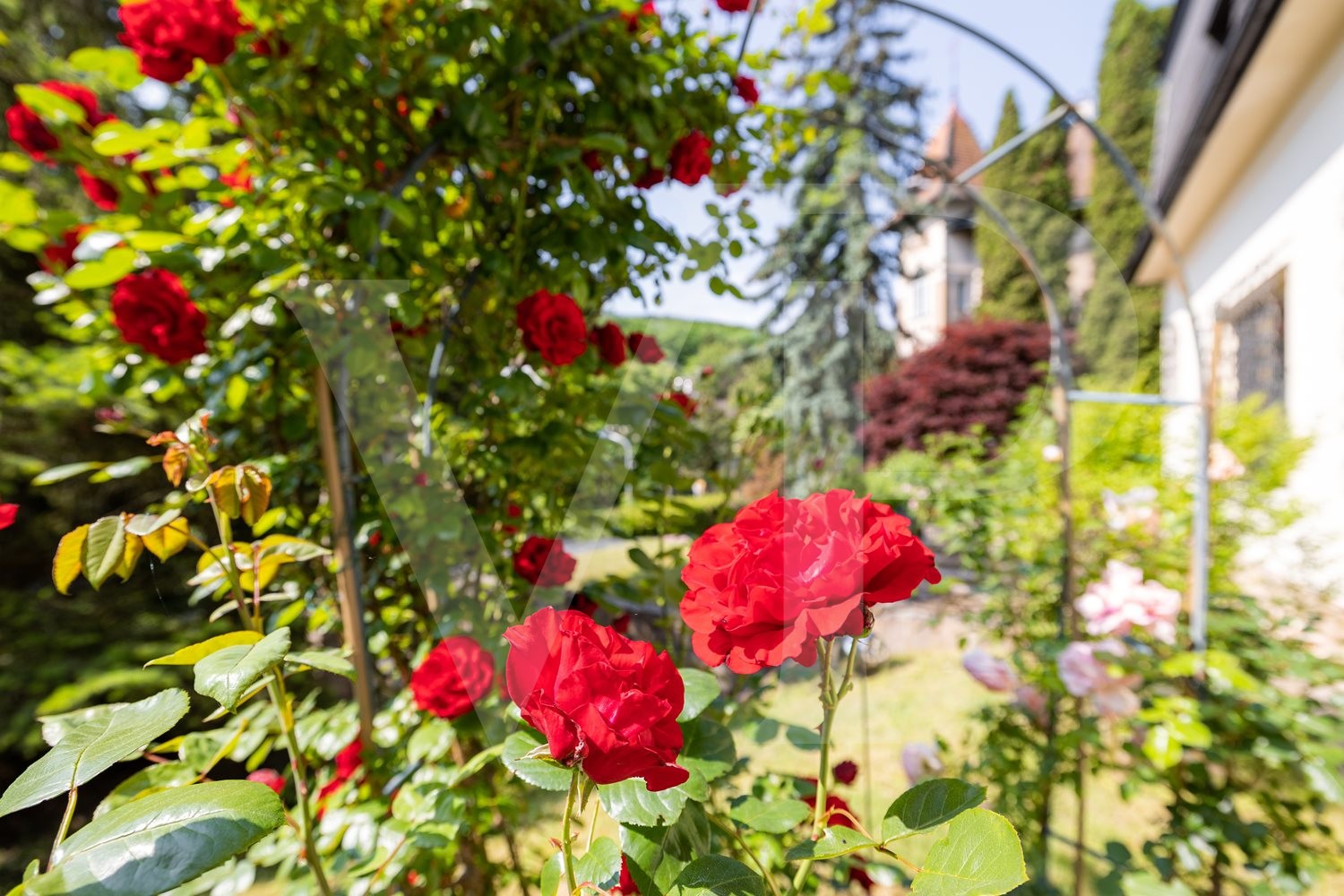 Wunderschönes Grundstück mit Villa in Grünlage von Dornbach