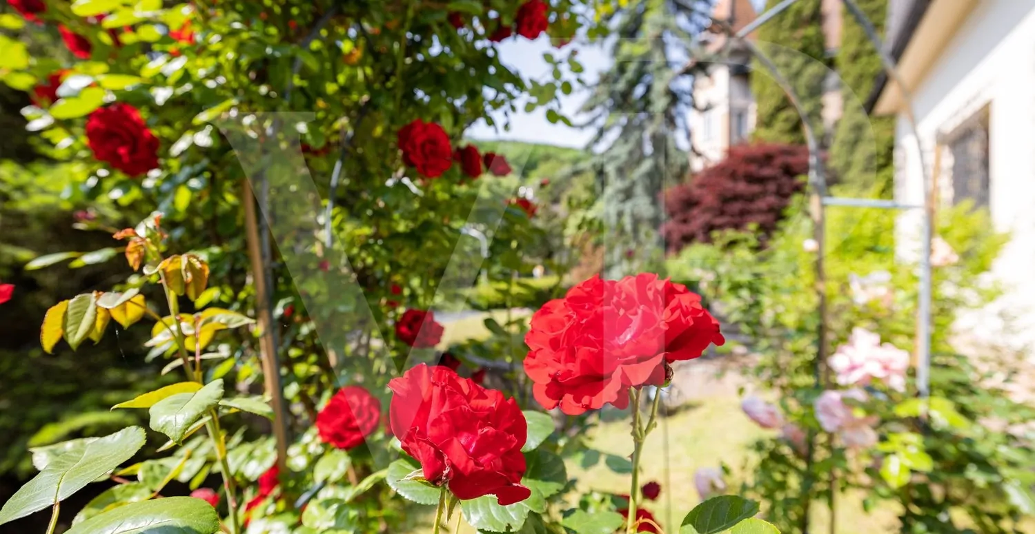 Villa mit Abbruchbewilligung in absoluter Grünlage Dornbachs