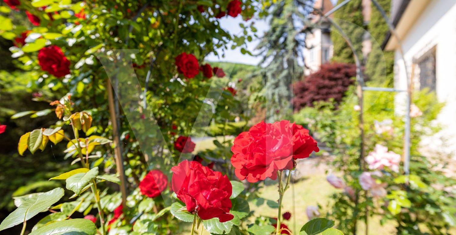 Villa auf uneinsichtigem Grundstück in absoluter Grünlage Dornbachs