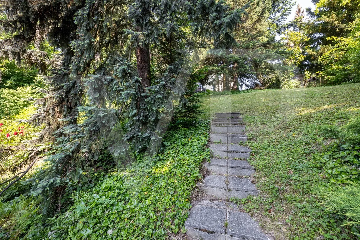 Villa mit Abbruchbewilligung in absoluter Grünlage Dornbachs