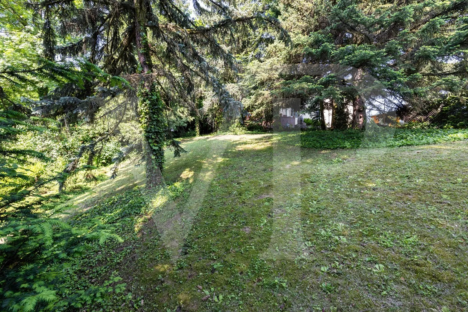 Villengrundstück mit Abbruchgenehmigung in wunderbarer Lage  von Dornbach