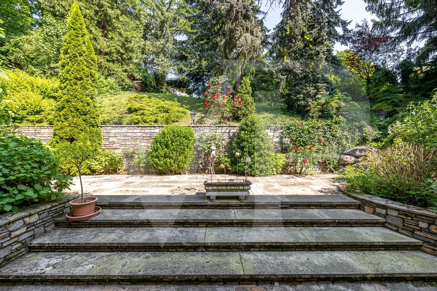 Villengrundstück mit Abbruchgenehmigung in wunderbarer Lage  von Dornbach