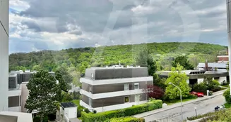 von_poll_real_estate_property_202344117_image_11